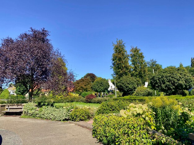 een verticale opname van een tuin met bomen en struiken