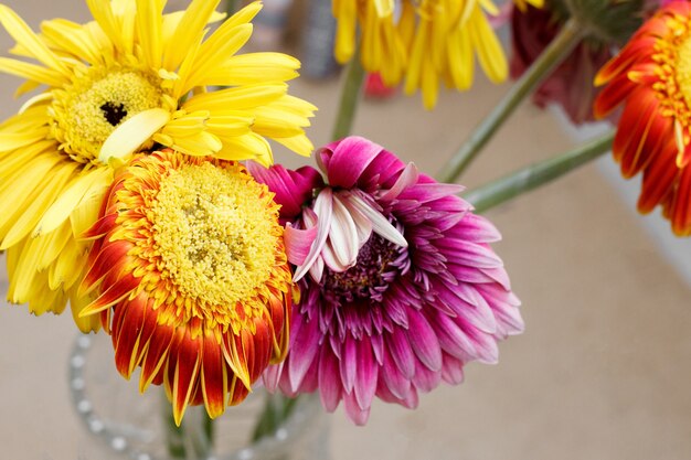 Een vervagend boeket van veelkleurige gerbera's in een transparante vaas