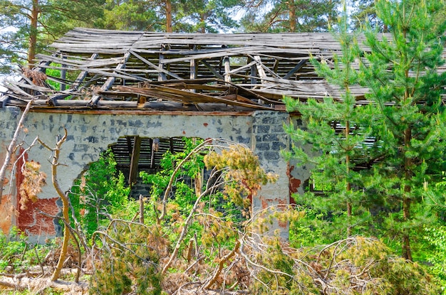 Een verwoest verlaten gebouw in het bos.