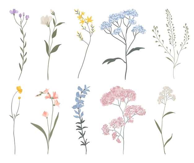 een verzameling bloemen, waaronder een van de kleurrijkste bloemen