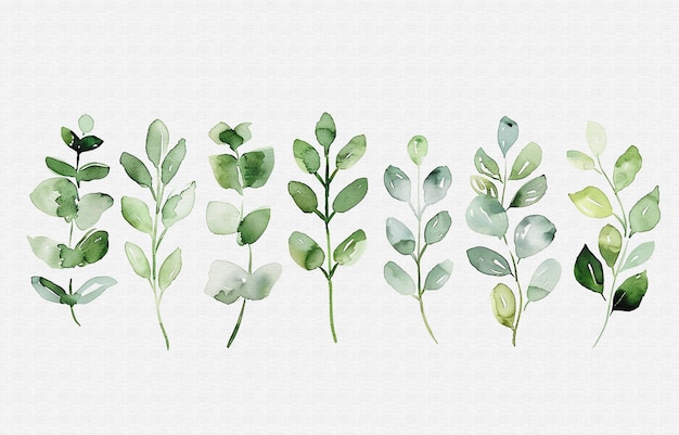 een verzameling planten per persoon