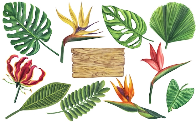 Een verzameling tropische bloemen en een bord met de tekst tropisch paradijs.