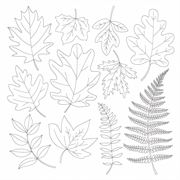 een verzameling verschillende planten, waaronder bladeren en bladeren