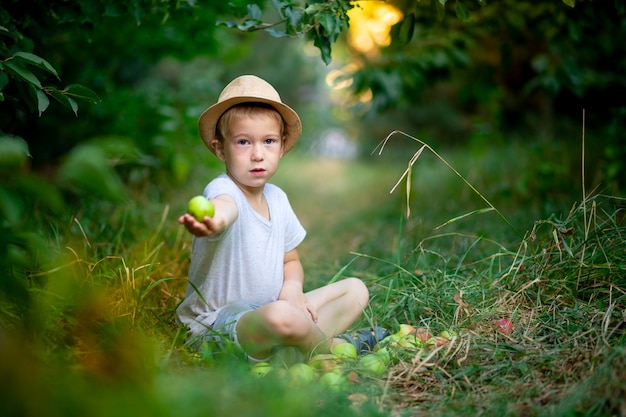 Een vijfjarige jongen zit op het gras met appels in een tuin met appelbomen