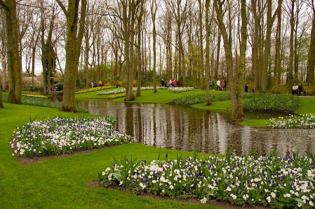 Een vijver met bloemen erin en een boom op de achtergrond