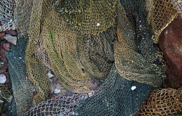 Een visnet is een net dat wordt gebruikt om te vissen Netten zijn apparaten gemaakt van vezels die in een rasterachtige structuur zijn geweven Sommige visnetten worden ook wel fuiken genoemd, bijvoorbeeld fuiknetten