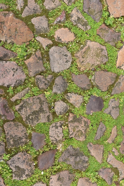 Een vloer met gras en steen