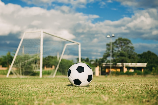 Een voetbal van het groene grasveld