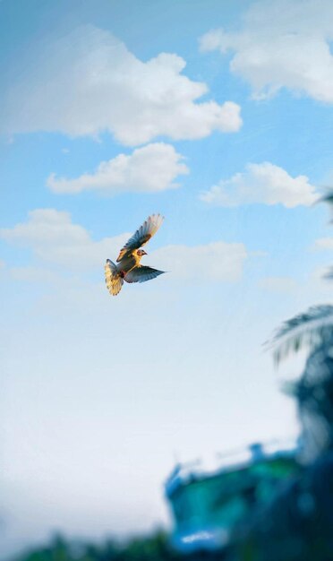 Een vogel die in de lucht vliegt