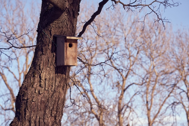 Een vogelhuisje aan een boom op een zonnige dag.