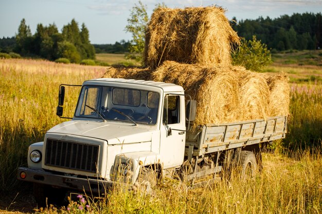 Foto een vrachtwagen in de natuur geladen met balen hooi. horizontaal kader