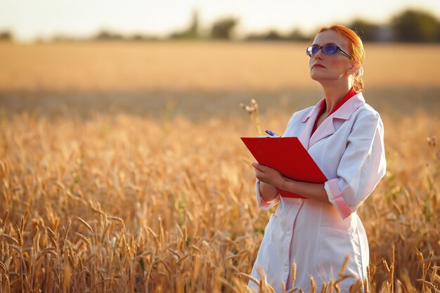 een vrouw agronoom in een veld van tarwe met een rode map en een pen in witte jassen en glazen bij de oogst bij zonsondergang