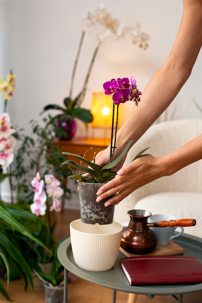 Een vrouw die haar huis met orchideeën versiert