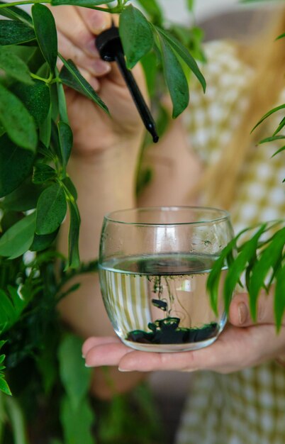 Een vrouw drinkt vloeibaar chlorofyl Selectieve focus