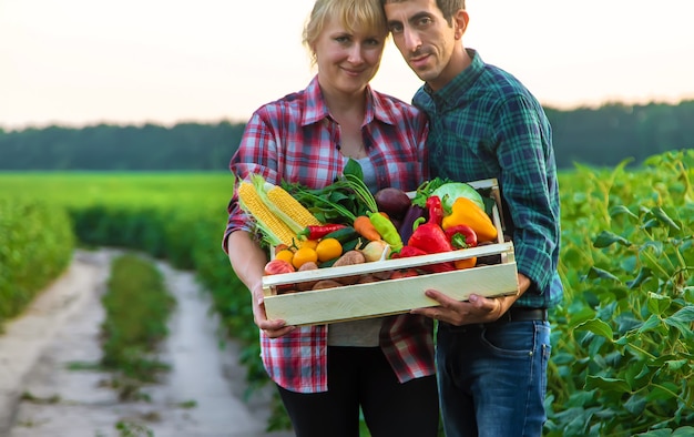 Een vrouw en een boer houden groenten in hun handen. Selectieve aandacht. Voedsel.