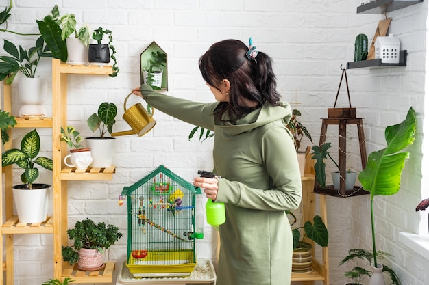 Een vrouw geeft huisplanten uit haar verzameling zeldzame soorten water uit een gieter die met liefde is gekweekt op planken in het interieur van het huis.