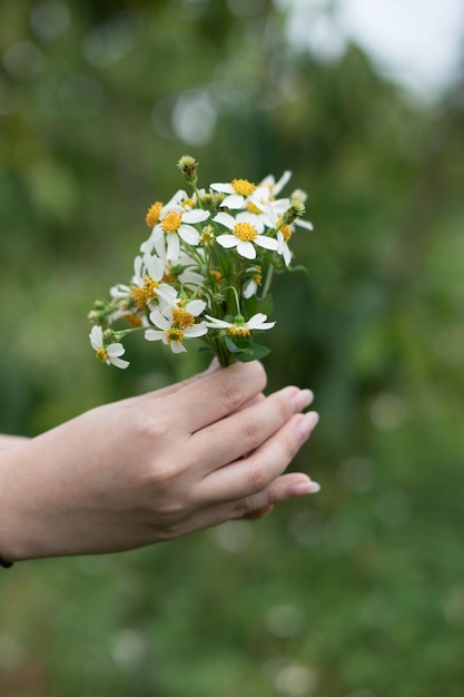 Een vrouw houdt een bos bloemen in haar hand.