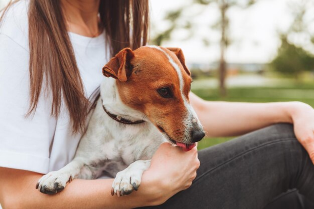 Een vrouw houdt haar jack russell terrier-hond vast en knuffelt ze in het park loyale beste vrienden sinds haar kindertijd een vrouw voedt haar hond vanuit de palm van haar hand dierenvoer