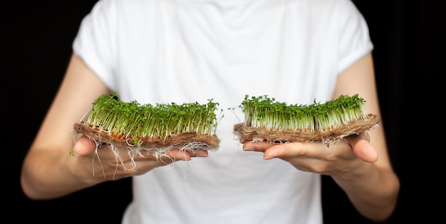 Een vrouw houdt thuis gekweekte microgroenten in haar handen microgroenten