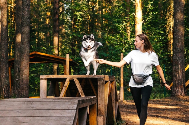 Een vrouw in uniform traint een husky hond Laika springt door de simulator