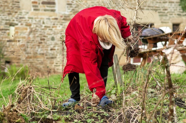 Een vrouw is bezig met het verzamelen van gedroogde planten en maakt bloemperken schoon. Tuinieren Voorjaarsvoorbereiding voor tuinieren