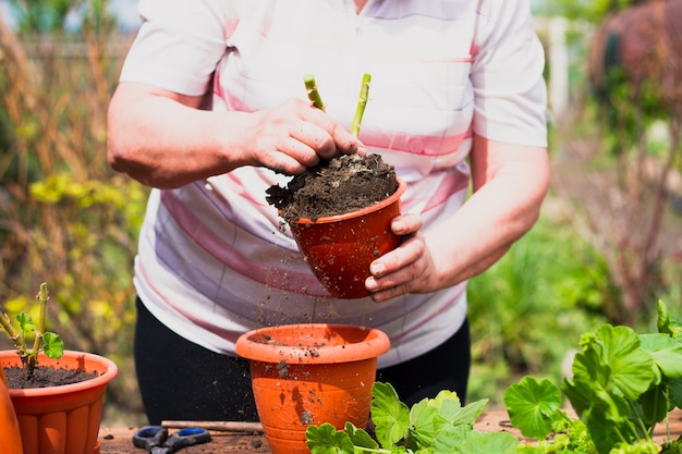 Een vrouw met een Europees uiterlijk transplanteert een jonge groene bloem in bruine potten en tuingereedschap