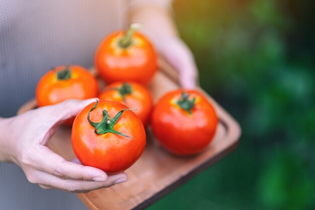 Een vrouw met verse tomaten in een houten dienblad