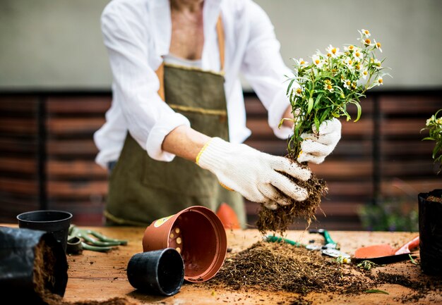 Een vrouw plant bloemen