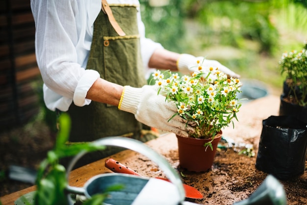 Een vrouw plant bloemen