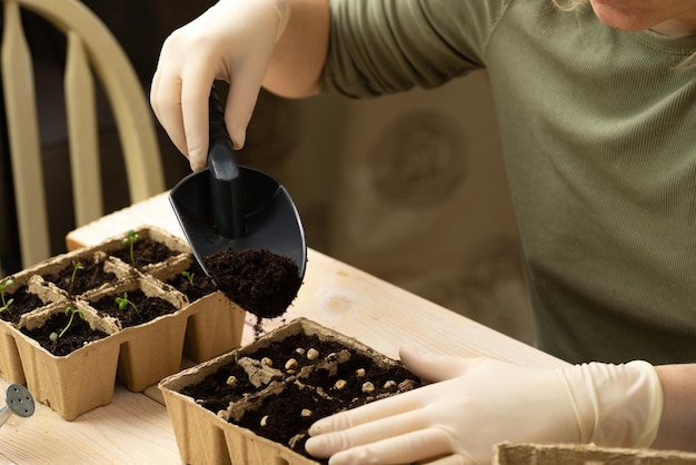 Een vrouw plant groentezaden in turfpotten zaailingen kweken in potten thuis hobby