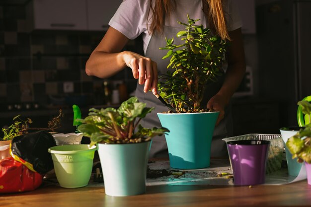 Een vrouw plant kamerbloemen op tafel