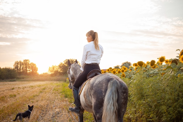 Een vrouw rijdt op een grijs paard in een veld bij zonsondergang. vrijheid, mooie achtergrond, vriendschap en liefde voor het dier. sporttraining paardensport, verhuur en verkoop van paarden, wandelen, paardrijden, wandelen. hond