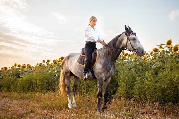 Een vrouw rijdt op een grijs paard in een veld bij zonsondergang. wandelen, paardrijden, verhuur. Mooie achtergrond, natuur buiten. paardensport opleiding. Ruimte kopiëren. dressuur