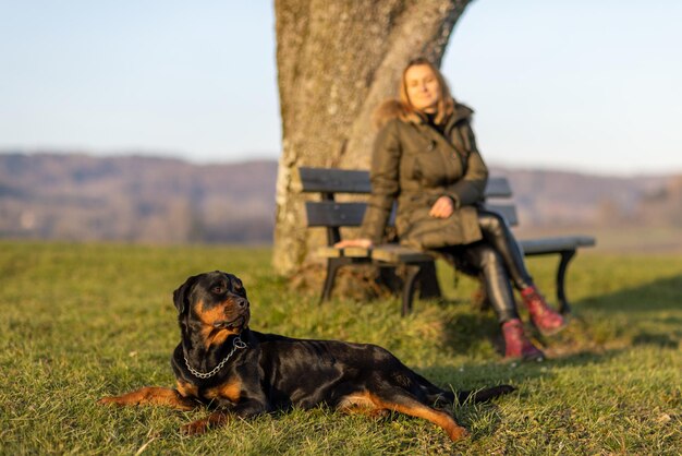 Een vrouw rust op een bankje naast haar rottweiler in het felle ochtendlicht van de zon
