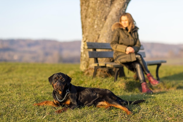 Een vrouw rust op een bankje naast haar rottweiler in het felle ochtendlicht van de zon