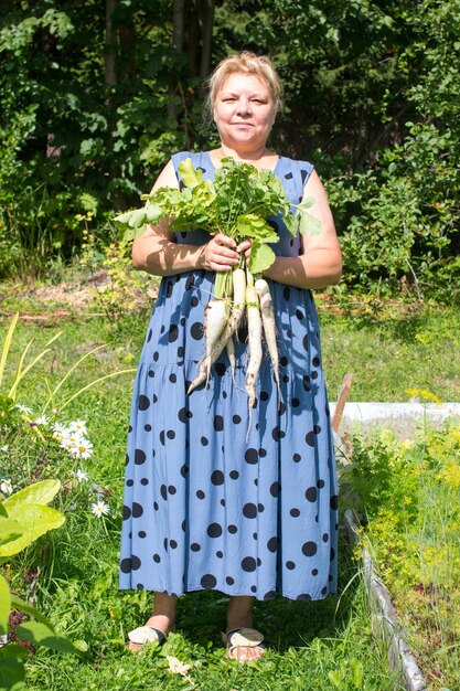 Een vrouw verzamelt witte daikon-radijsjes in de tuin Een vrouw oogst radijsjes