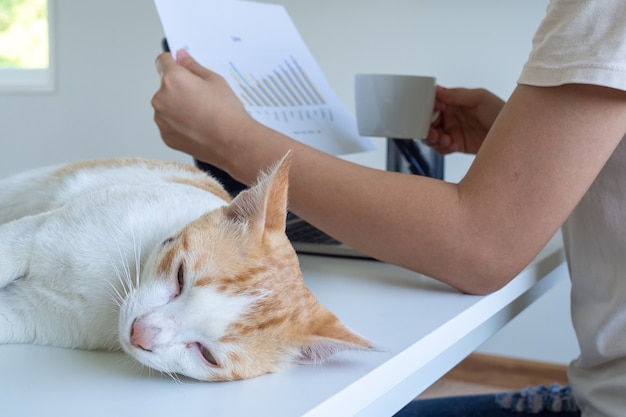 Een vrouw werkt of studeert thuis. Freelance schrijft een productreview in de woonkamer en er ligt een kat te slapen. Vrijheid om te werken concept