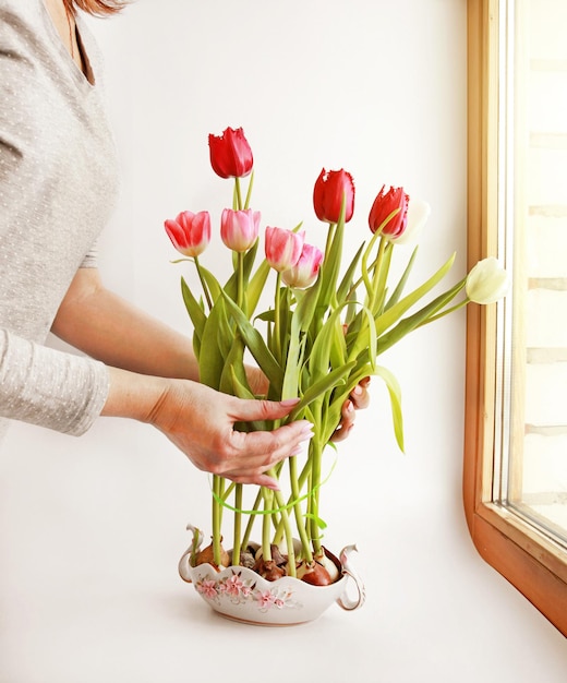 Een vrouw zet een boeket tulpen met bollen in een porseleinen vaas lente compositie