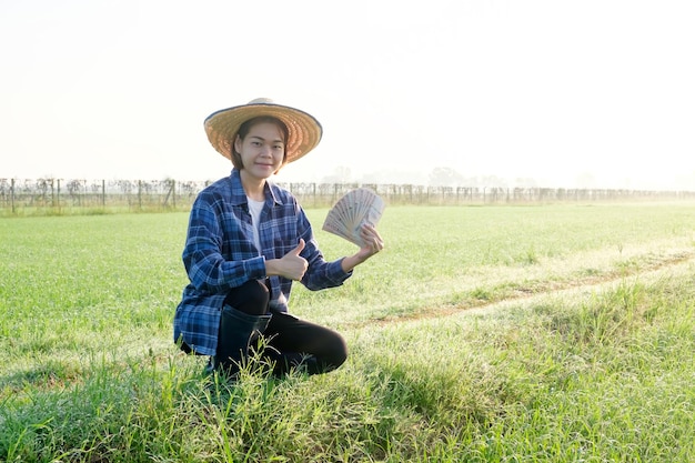 Een vrouwelijke Aziatische boer zit in het midden van een rijstveld met Thaise bankbiljetten en duim omhoog in het midden van een rijstveld bij zonsopgang