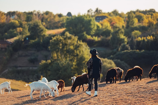 Een vrouwelijke herder graast schapen en geiten op een weide