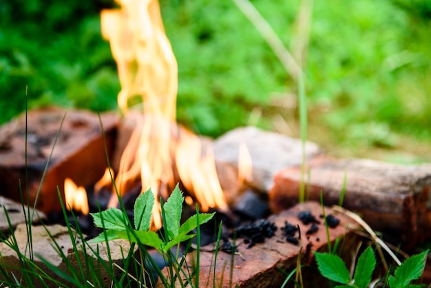 Een vuur gebouwd op bakstenen is een zelfgemaakte barbecue Zomerpicknick