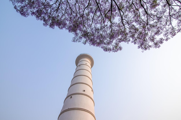 Een vuurtoren met een boom op de achtergrond