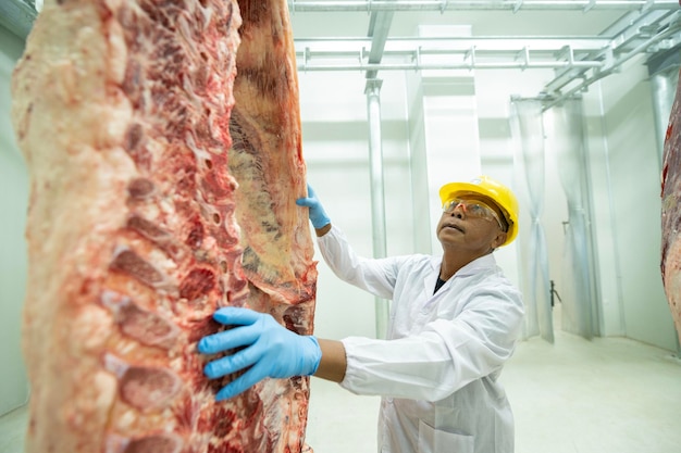 Een wagyu-slager die een tablet vasthoudt, inspecteert de onderdelen en telt de voorraad japans wagyu-rundvlees dat in de koelcel hangt