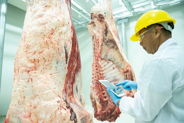 Een Wagyu-slager die een tablet vasthoudt, inspecteert de onderdelen en telt de voorraad Japans Wagyu-rundvlees dat in de koelcel hangt