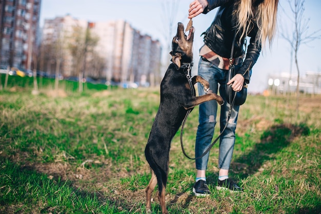 Een wandeling met een jonge hond puppy in de natuur