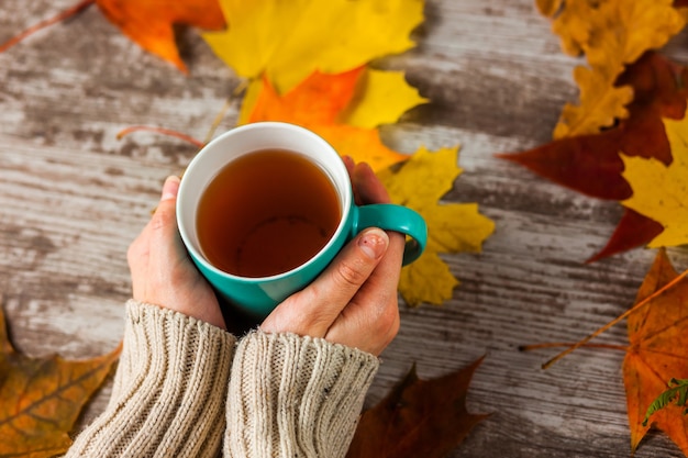 Een warme kop thee in de handen van de meisjes. Herfstbladeren.