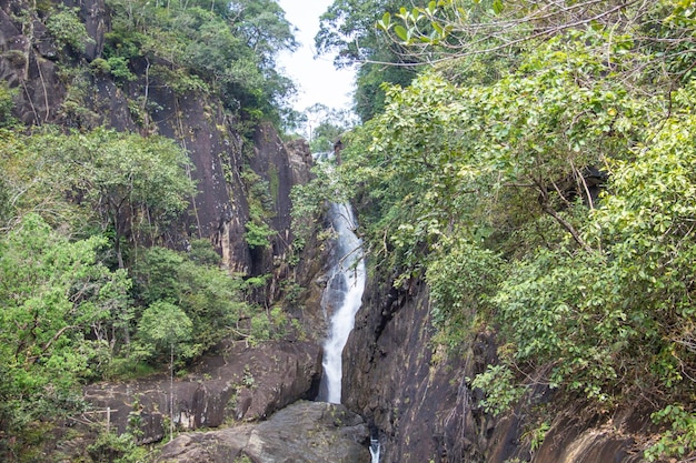 Een waterval in de jungle met bomen en planten