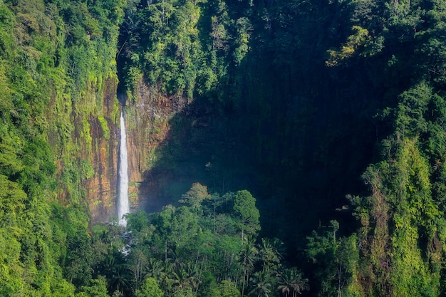 Foto een waterval in de jungle wordt omringd door weelderige groene bomen.