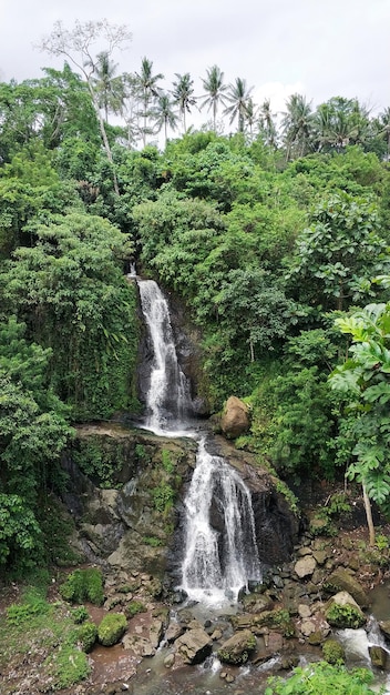 Een waterval in de tropische jungle Water loopt langs een rotsachtige klif