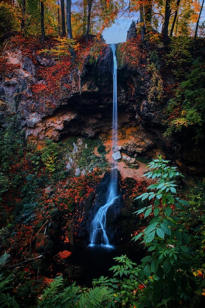 Een waterval in het bos met de naam van de waterval